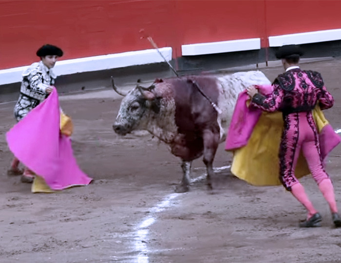 Acoso, tortura y ejecución de un toro en Bilbao